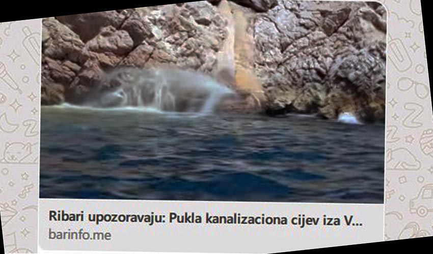 cevv vik