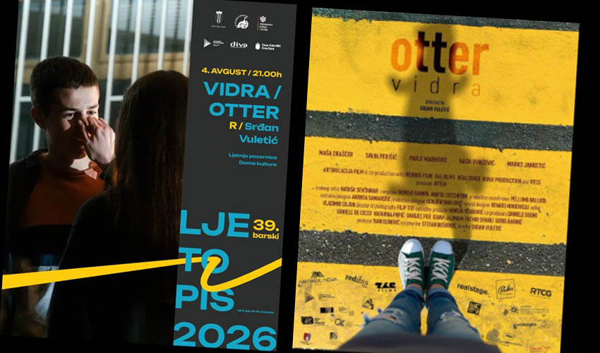 plt vidra