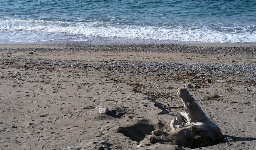 moreet