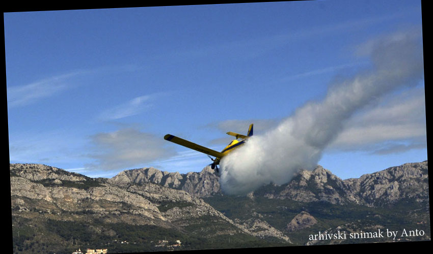 zuti avion