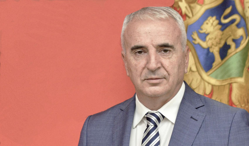 dejan djur