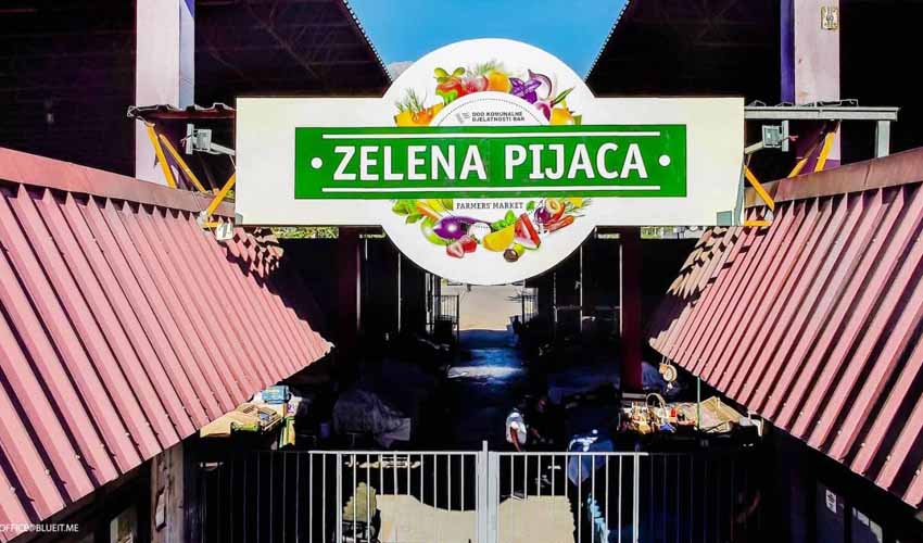 zel pjaca 3