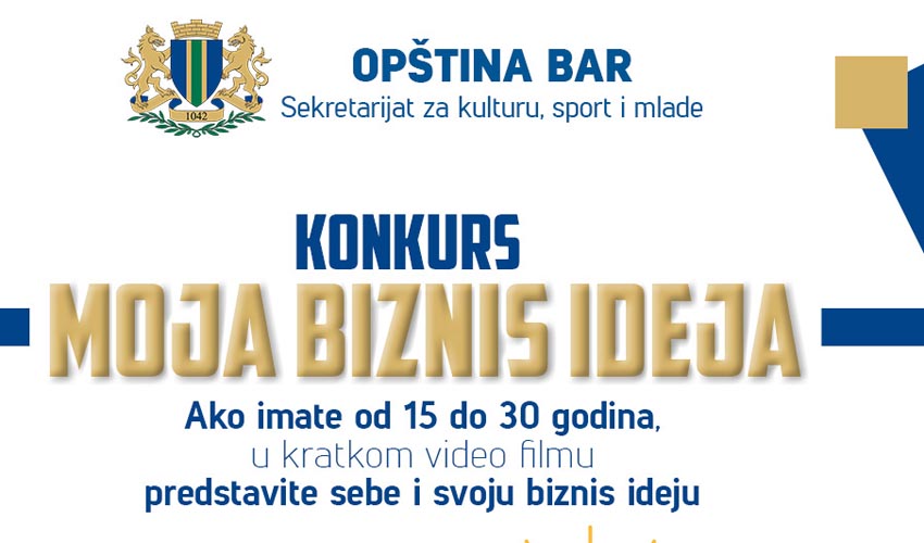 Biznis ideja