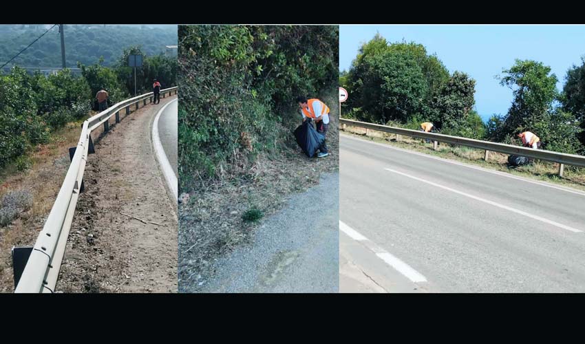 cist krajput