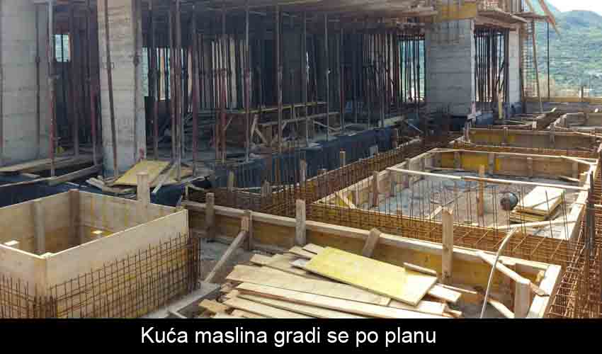 Kuća maslina1