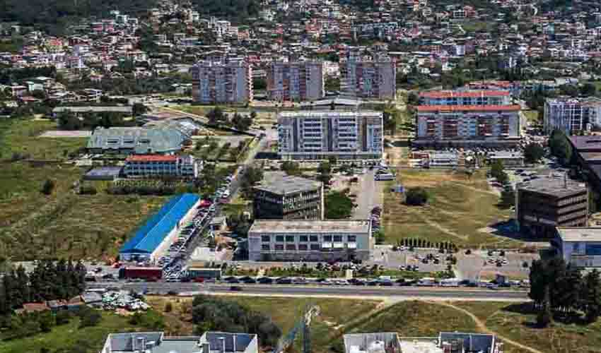 buvljak