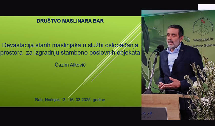 cazzu