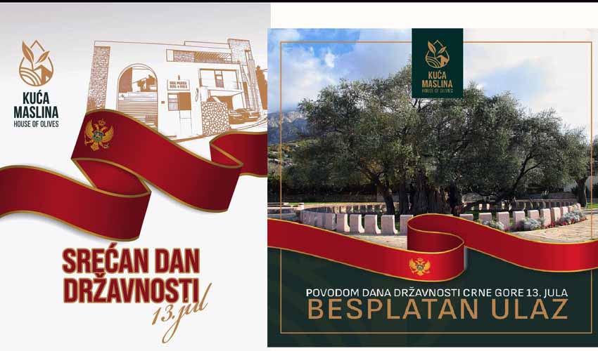 Dan Kuca maslina