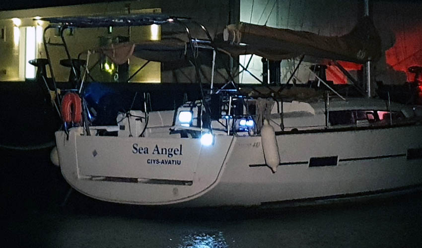 sea angell 2