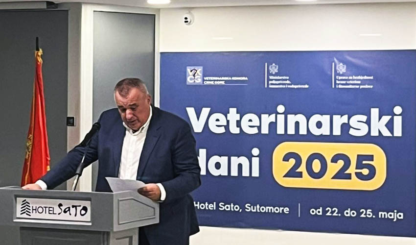 sl bzv