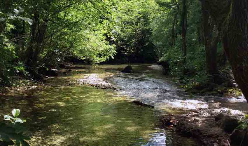 orahovštica river