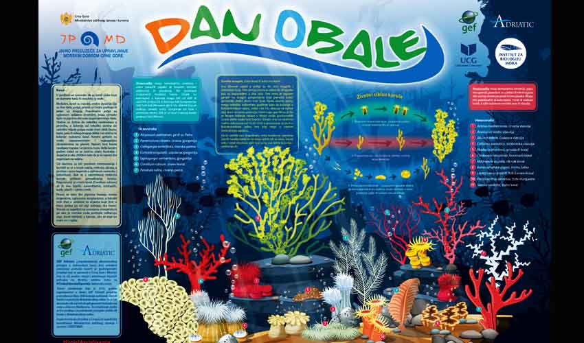 dan obale