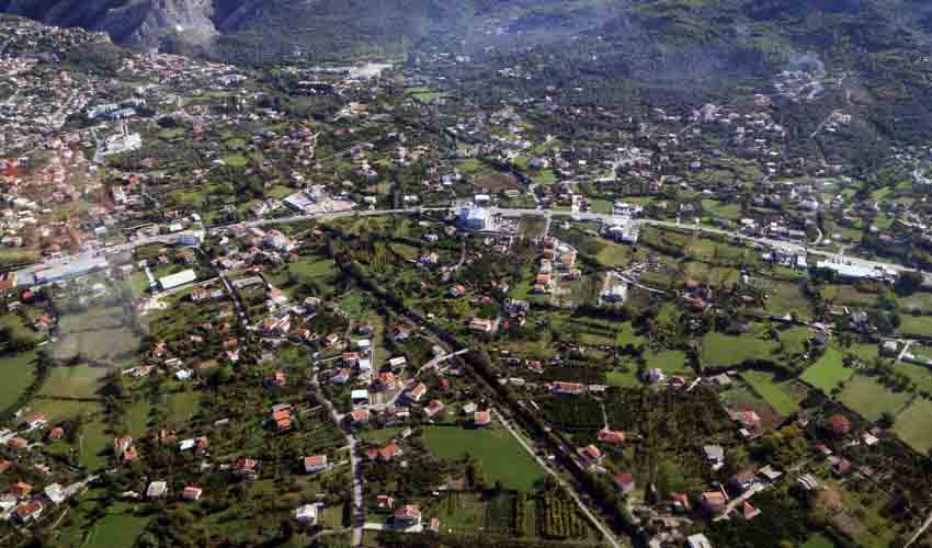 polje tomanis