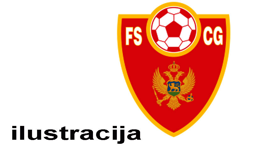 fscg 