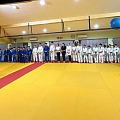 judisti br 2