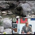vik i dir