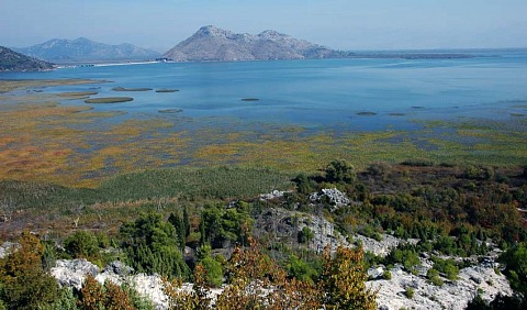 jezero np 2