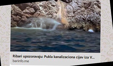 cevv vik