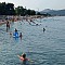 plaz zuikk
