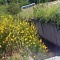 kanal trtmasn