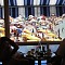pogled plagga